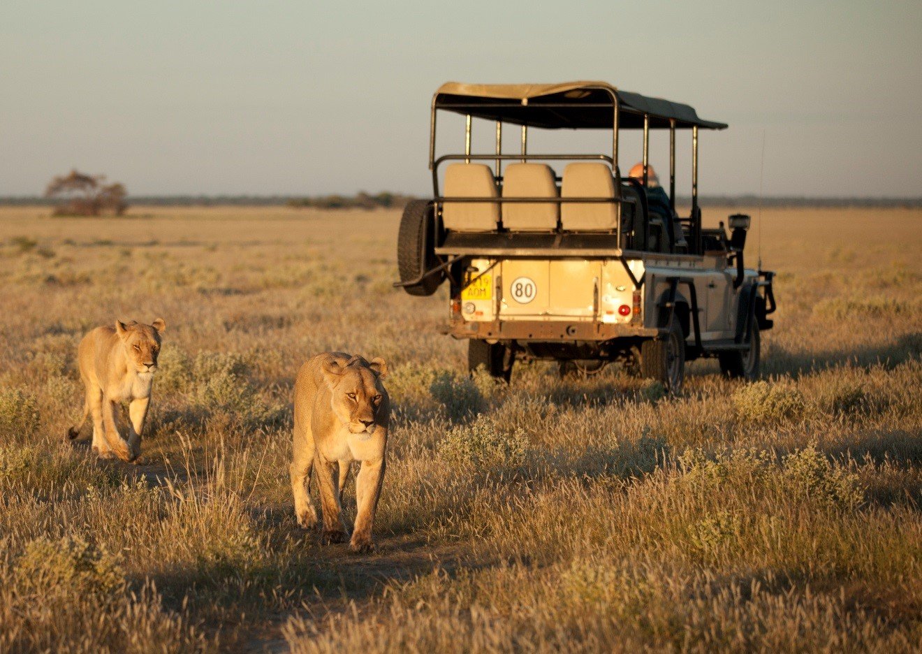 Kenya & Tanzania Safari with Zanzibar