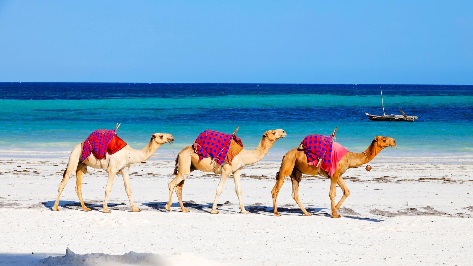 Friends' Beach Getaway in Diani