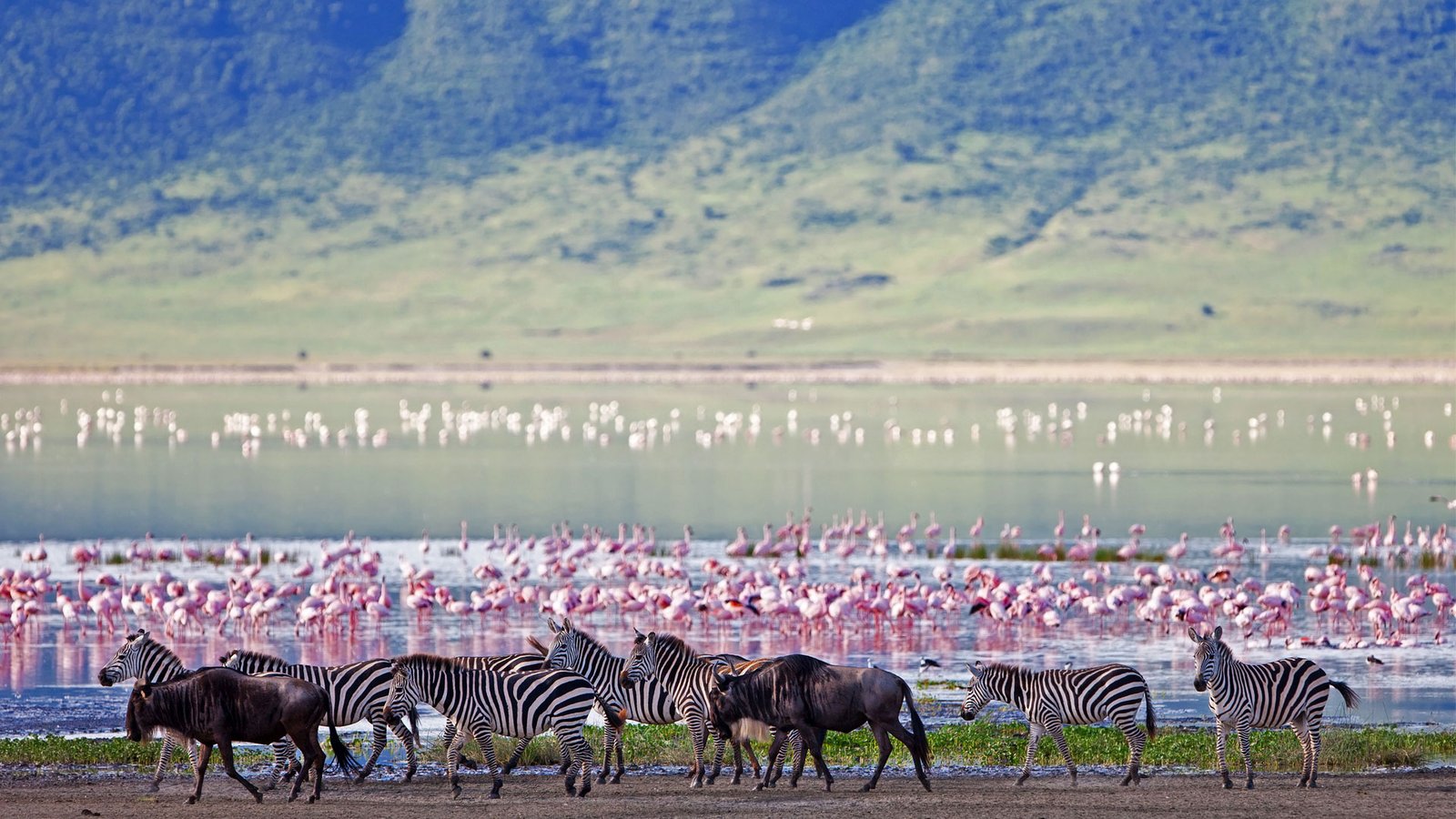 Lake Nakuru & Naivasha Weekend