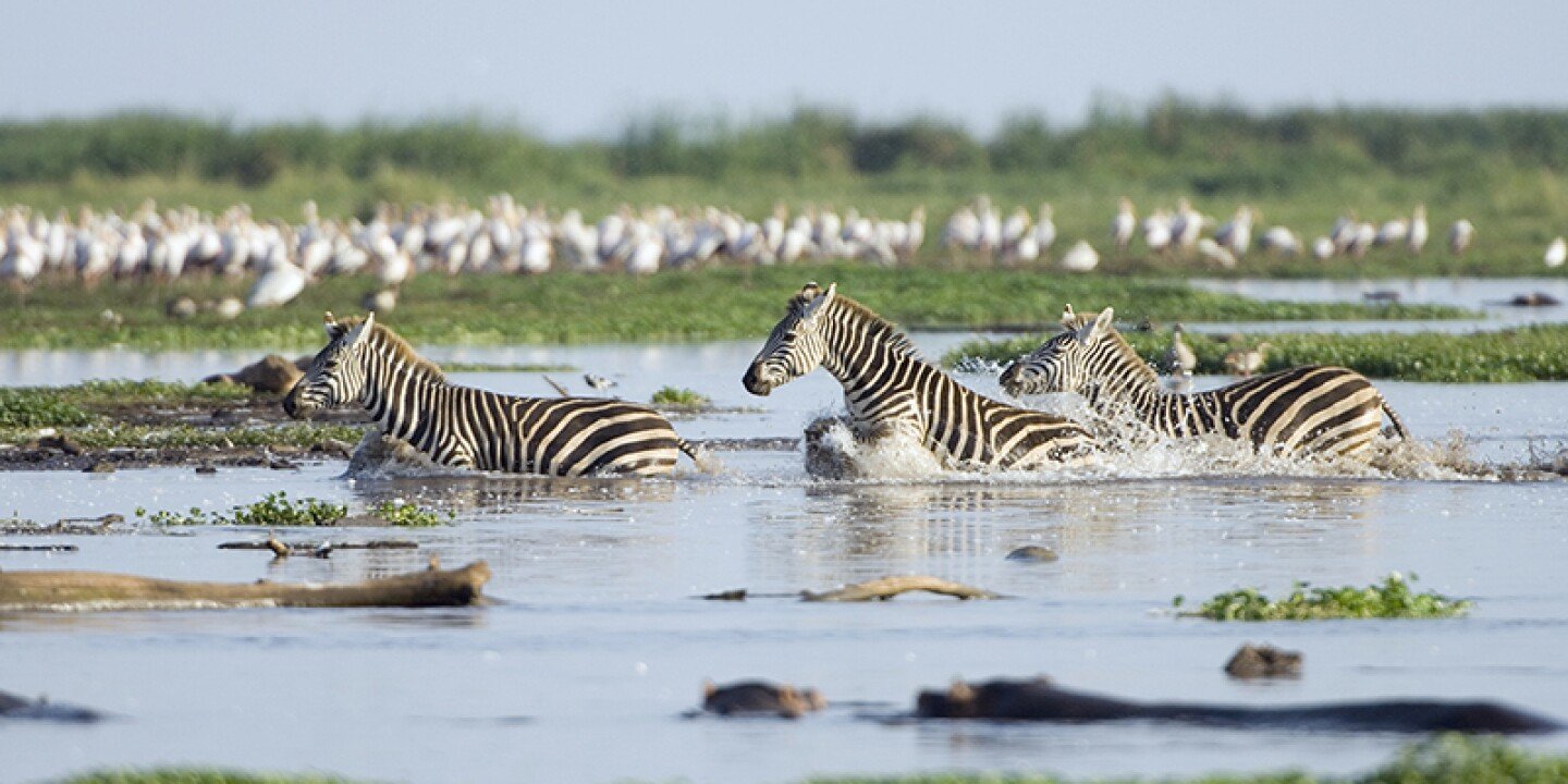 Group Safari: Tsavo, Amboseli & Mara